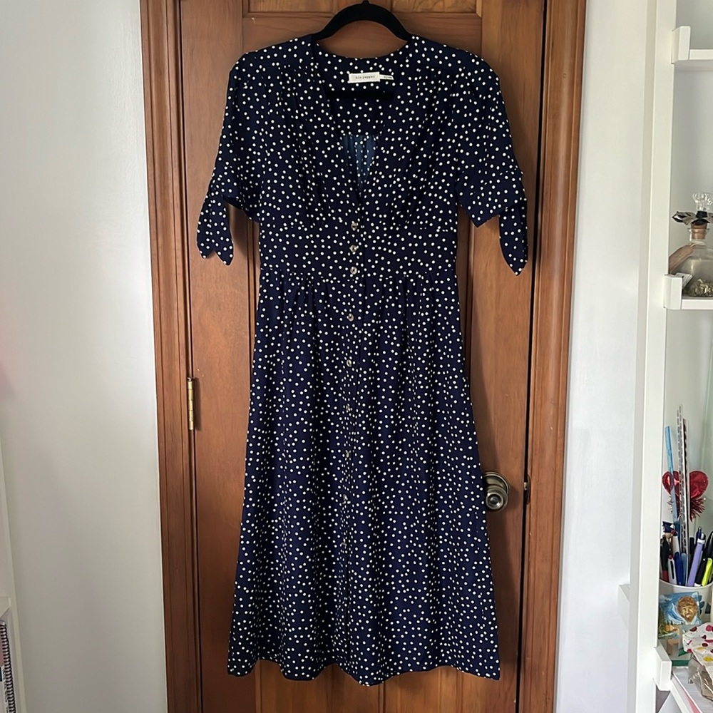 Blu Pepper Polka Dot Midi Dress (size S)